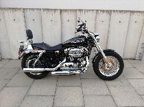 Motorrad kaufen Occasion HARLEY-DAVIDSON XL 1200 C Sportster Custom (custom)