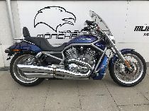 Motorrad kaufen Occasion HARLEY-DAVIDSON VRSCAW 1250 V-Rod ABS (custom)