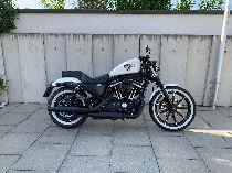 Motorrad kaufen Occasion HARLEY-DAVIDSON XL 883 N Iron ABS (custom)