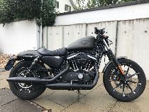Motorrad kaufen Occasion HARLEY-DAVIDSON XL 883 N Sportster Iron (custom)
