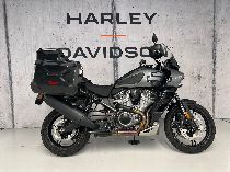 Motorrad kaufen Occasion HARLEY-DAVIDSON RA 1250 S Pan America Special (enduro)