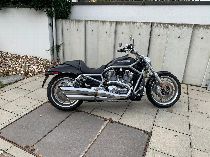 Motorrad kaufen Occasion HARLEY-DAVIDSON VRSCAWA 1250 V-Rod ABS (custom)
