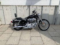 Motorrad kaufen Occasion HARLEY-DAVIDSON XL 883 C Sportster Custom (custom)