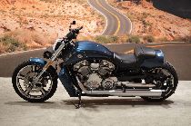 Motorrad kaufen Occasion HARLEY-DAVIDSON VRSCF 1250 V-Rod Muscle ABS (custom)