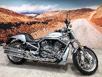 Motorrad kaufen Occasion HARLEY-DAVIDSON VRSCDX 1250 Night-Rod Special ABS Anniversary (custom)