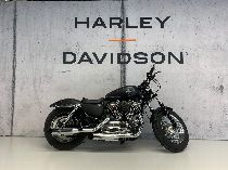 Motorrad kaufen Occasion HARLEY-DAVIDSON XL 1200 C Sportster Custom (custom)