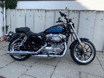 Motorrad kaufen Occasion HARLEY-DAVIDSON XL 883 L Sportster Low (custom)