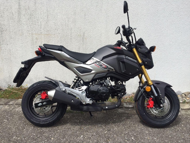 Moto neuve acheter HONDA MSX 125 ABS HONDA-Keller GmbH ...