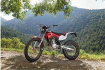 Motorrad kaufen Neufahrzeug MONTESA Cota 4RT (trial)