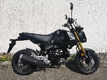Motorrad kaufen Neufahrzeug HONDA MSX 125 (naked)