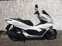 Motorrad kaufen Neufahrzeug HONDA PCX WW 125 A (roller)