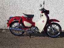 Motorrad kaufen Neufahrzeug HONDA C 125 A Super Cub (touring)
