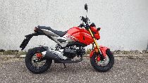 Motorrad kaufen Neufahrzeug HONDA MSX 125 (touring)