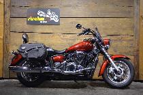 Motorrad kaufen Occasion YAMAHA XVS 1300 A Midnight Star (custom)