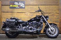 Motorrad kaufen Occasion YAMAHA XVS 1300 A Midnight Star (custom)
