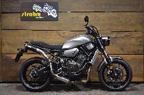 Motorrad kaufen Occasion YAMAHA XSR 700 ABS