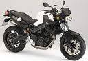 Motorrad Mieten & Roller Mieten BMW F 800 R ABS (Naked)
