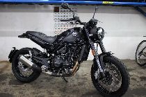 Motorrad kaufen Occasion BENELLI Leoncino 500 (retro)