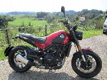 Motorrad kaufen Occasion BENELLI Leoncino 500 (retro)
