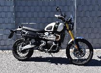 Motorrad kaufen Occasion TRIUMPH Scrambler 1200 XE (retro)