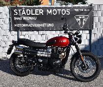 Acheter une moto Occasions TRIUMPH Street Scrambler 900 (retro)