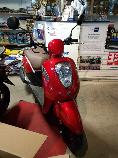 Buy motorbike New vehicle/bike SYM Mio 115 (scooter)