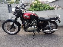 Motorrad kaufen Occasion TRIUMPH Bonneville T100 900 (retro)