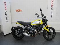 Motorrad kaufen Occasion DUCATI 803 Scrambler (retro)