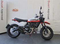 Motorrad kaufen Neufahrzeug DUCATI 803 Scrambler Urban Motard (retro)