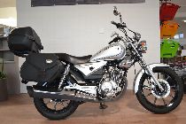 Motorrad kaufen Occasion YAMAHA YBR 125 Custom (custom)