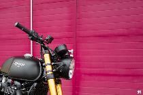 Motorrad kaufen Neufahrzeug TRIUMPH Thruxton 1200 R ABS (retro)