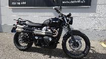 Motorrad kaufen Occasion TRIUMPH Street Scrambler 900 (retro)