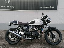 Motorrad kaufen Occasion TRIUMPH Thruxton 900 (retro)
