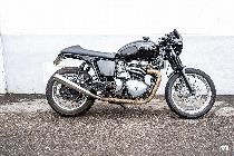 Motorrad kaufen Occasion TRIUMPH Thruxton 900 (retro)