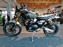 Motorrad kaufen Occasion TRIUMPH Scrambler 1200 XE (retro)