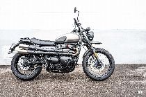 Motorrad kaufen Occasion TRIUMPH Street Scrambler 900 (retro)