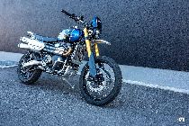 Motorrad kaufen Occasion TRIUMPH Scrambler 1200 XE (retro)