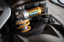 Motorrad kaufen Neufahrzeug TRIUMPH Street Triple 765 RS (naked)