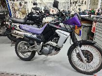 Motorrad kaufen Occasion YAMAHA XTZ 660 Tenere (enduro)