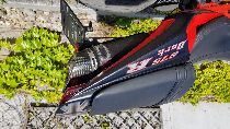 Motorrad kaufen Occasion TRIUMPH Daytona 675 R (sport)