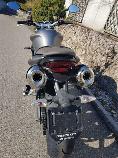 Motorrad kaufen Occasion TRIUMPH Street Triple 675 (naked)