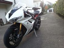 Motorrad kaufen Occasion TRIUMPH Daytona 675 (sport)