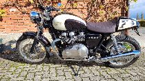 Motorrad kaufen Occasion TRIUMPH Thruxton 900 (retro)