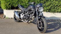 Motorrad kaufen Neufahrzeug SUZUKI SV 650 A ABS (naked)