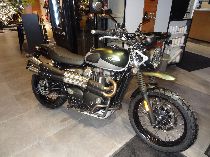 Motorrad kaufen Occasion TRIUMPH Street Scrambler 900 (retro)