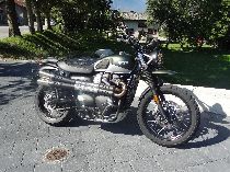 Motorrad kaufen Vorführmodell TRIUMPH Street Scrambler 900 (retro)
