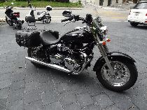 Motorrad kaufen Occasion TRIUMPH America 900 (custom)