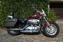 Motorrad kaufen Occasion HARLEY-DAVIDSON XL 1200 C Sportster Custom (custom)