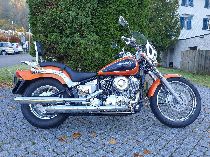 Motorrad kaufen Occasion YAMAHA XVS 650 Drag Star (custom)