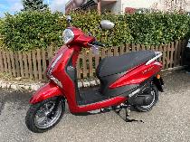 Motorrad kaufen Neufahrzeug YAMAHA Delight 125 (roller)